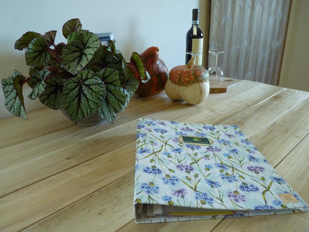 Ca'Luna Guest House Mondovì Екстериор снимка