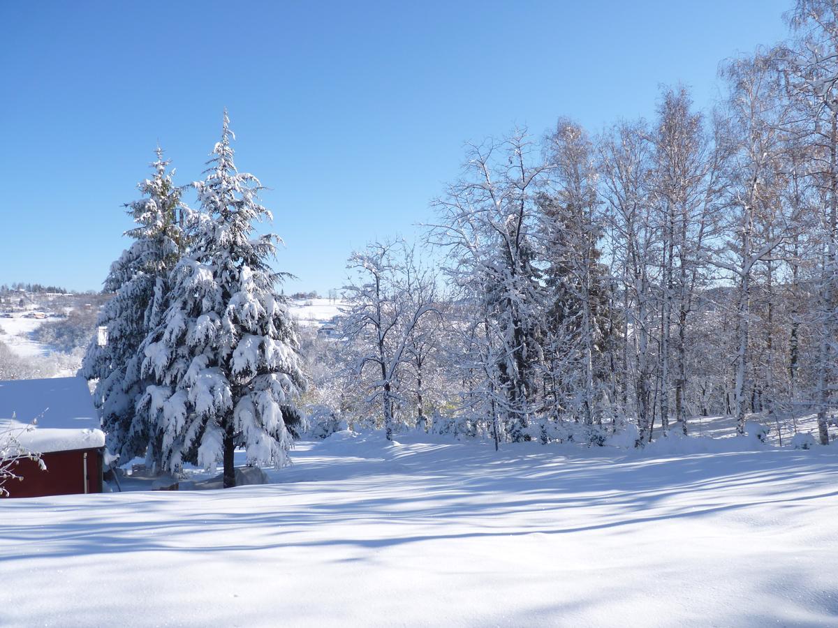 Ca'Luna Guest House Mondovì Екстериор снимка